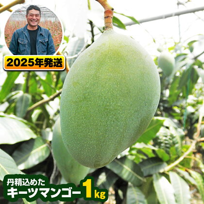 【2024年発送】南風原農園　丹精込めた「キーツマンゴー」1kg