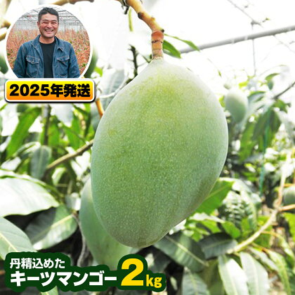 【2024年発送】南風原農園　丹精込めた「キーツマンゴー」2kg