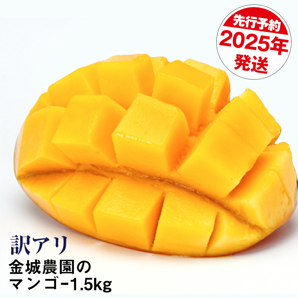 ڤդ뤵Ǽǡۡ2024ǯȯΥޥ󥴡1.5kg