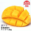 【ふるさと納税】【訳あり】2026年発送 金城農園のマンゴー1.5kg