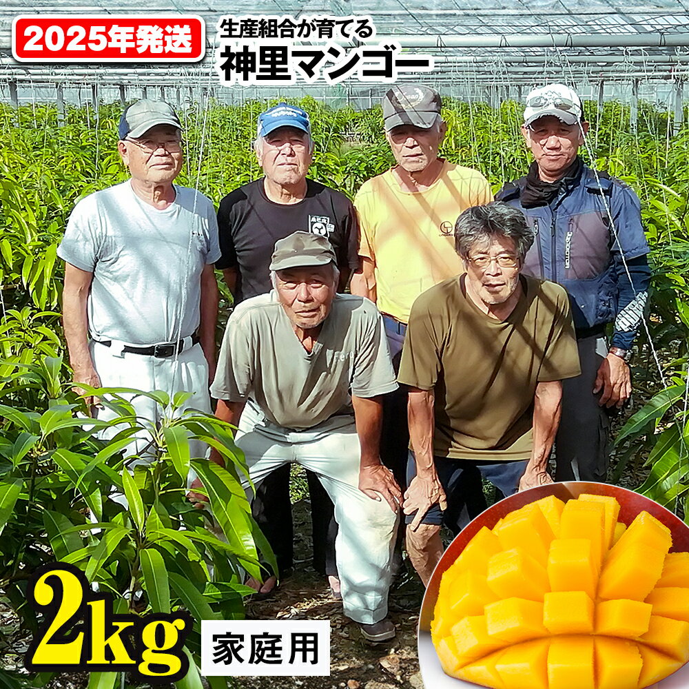 【2024年発送】生産組合が育てる神里のマンゴー2kg　家庭用