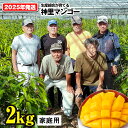 【ふるさと納税】【2025年発送】生産組合が育てる神里のマンゴー2kg 家庭用