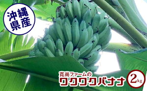 【ふるさと納税】【沖縄県産】寛尚ファームのワクワクバナナ　2kg