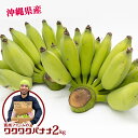 【ふるさと納税】【沖縄県産】寛尚ファームのワクワクバナナ 2kg