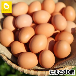 【ふるさと納税】卵の黄身が掴めるほどの新鮮さ！！美ら卵養鶏場の卵＜80個入り＞
