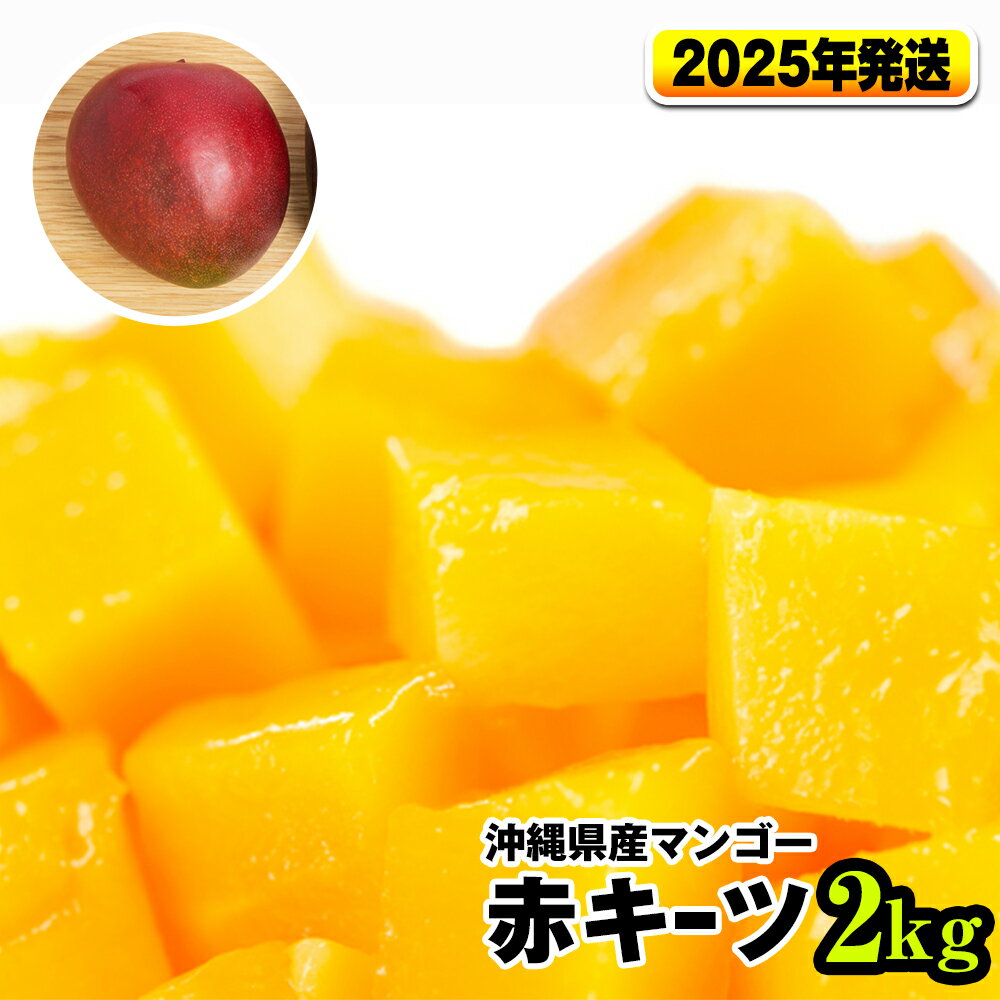 【ふるさと納税】【2025年発送】南国の果物 沖縄県産マンゴー 赤キーツ 2kg
