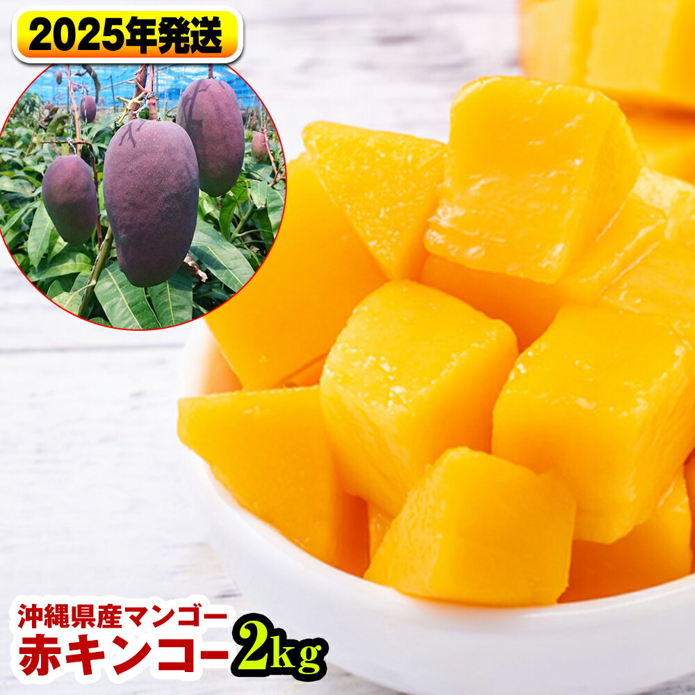 【ふるさと納税】【2025年発送】南国の果物 沖縄県産マンゴー 赤キンコー 2kg