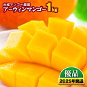 【ふるさと納税】【2025年発送】大城マンゴー農園のアーウィンマンゴー(優品)1kg