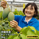【ふるさと納税】【2025年発送】沖縄県産キーツマンゴー2kg