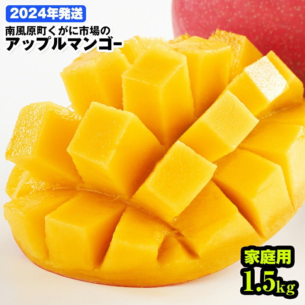 ڤդ뤵Ǽǡۡ2024ǯȯĮ˻ԾΥåץޥ󥴡ѡ1.5kg