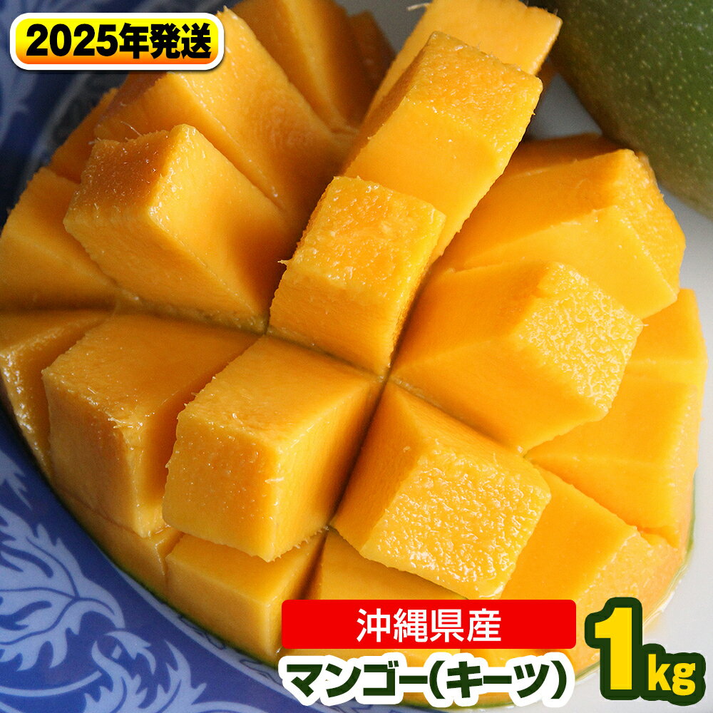 ڤդ뤵Ǽǡۡ2024ǯȯβʪ츩ޥ󥴡ġ1kg