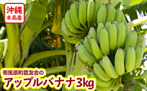 【ふるさと納税】【希少】沖縄本島産 南風原町農友会の「アップルバナナ」　3kg
