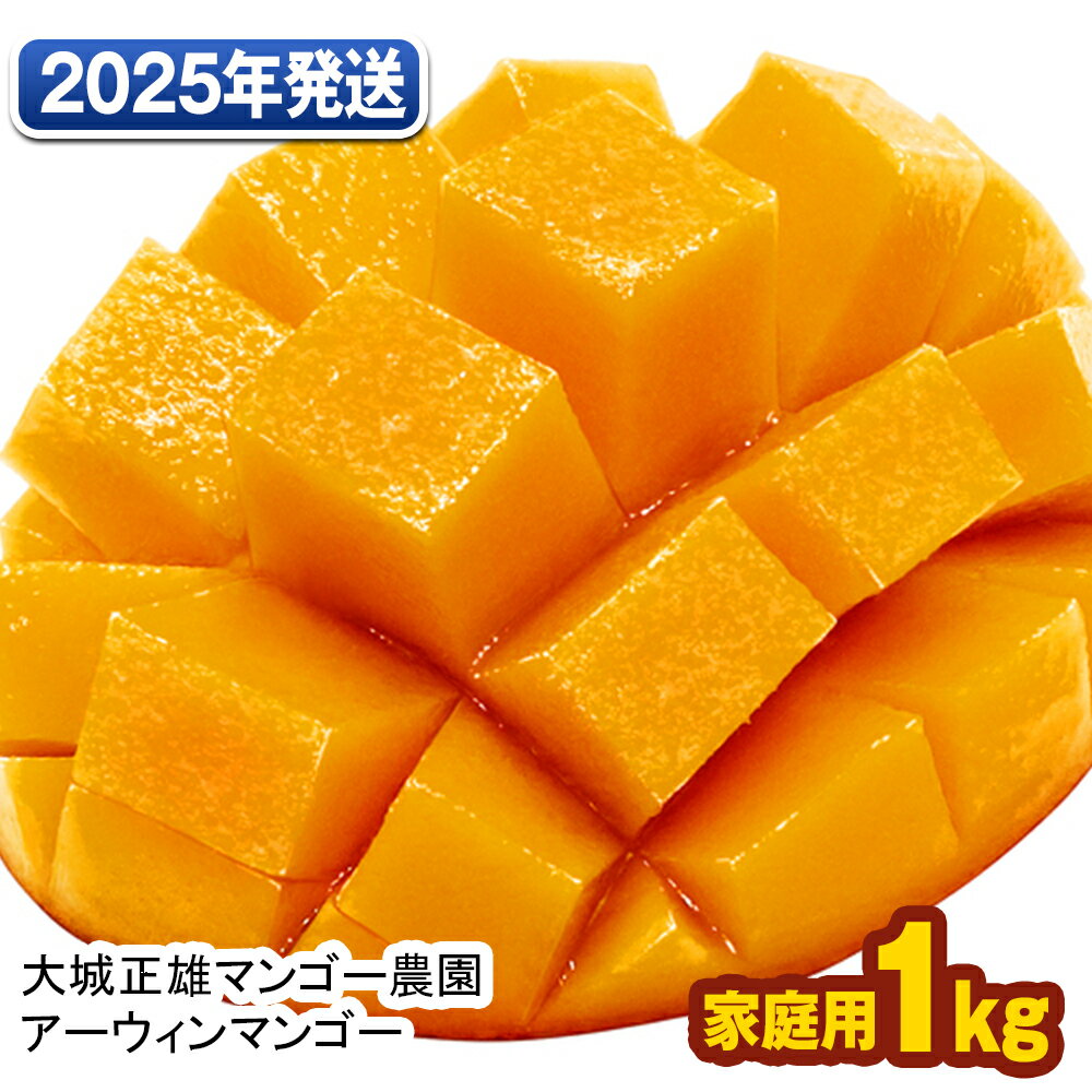 ڤդ뤵Ǽǡۡ2024ǯȯͺޥ󥴡ࡡޥ󥴡1kg