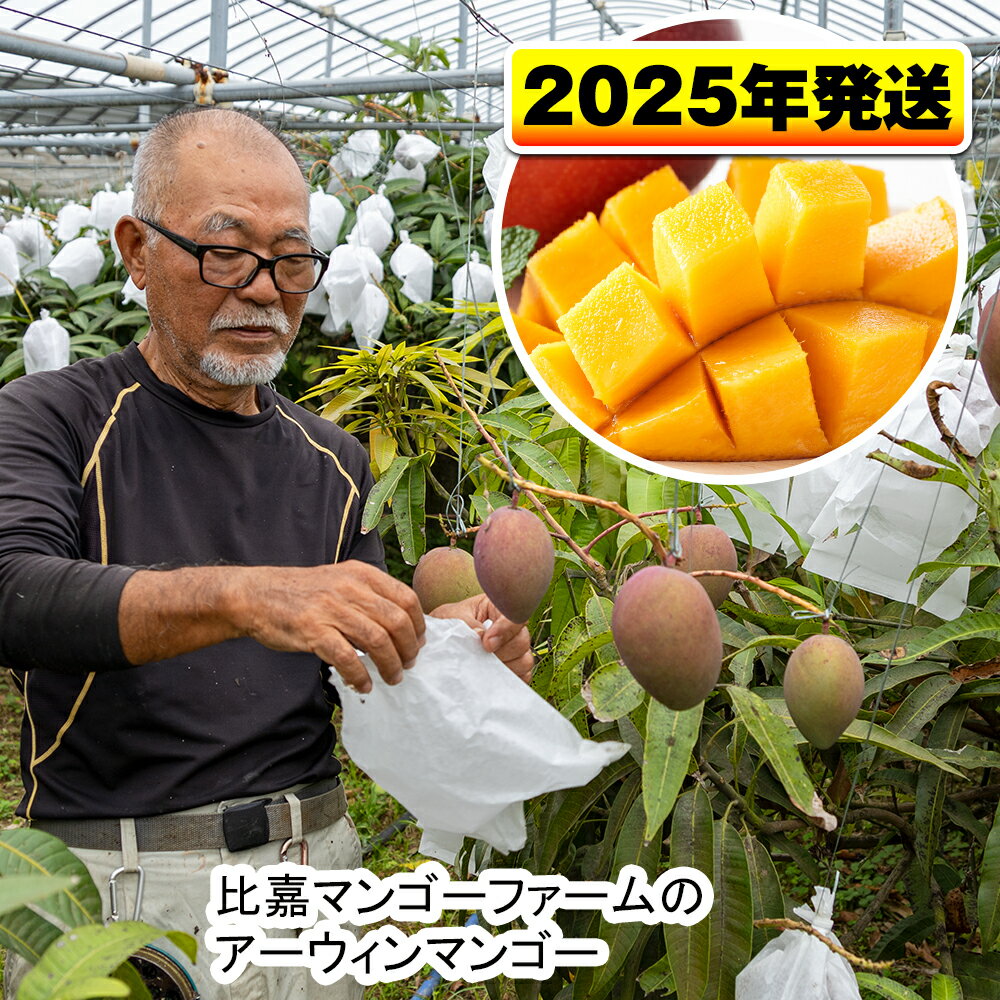 2024ǯȯťޥ󥴡եΥޥ󥴡1.5kg