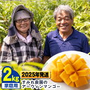 【ふるさと納税】【2025年発送】すみれ農園のアーウィンマンゴー家庭用2kg