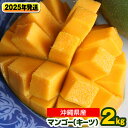 【ふるさと納税】【2025年発送】南国の果物 沖縄県産マンゴー キーツ 2kg
