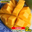 【ふるさと納税】【2024年発送】南国の果物　沖縄県産マンゴー　キーツ　2kg