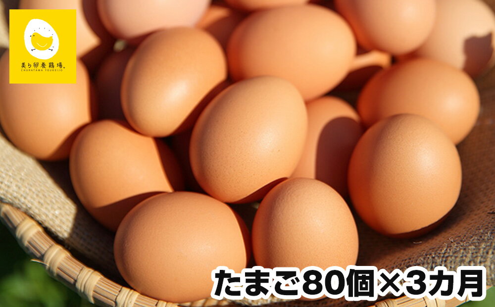 【ふるさと納税】【定期便】3ヵ月連続お届け 卵の黄身が掴めるほどの新鮮さ 美ら卵養鶏場の卵 各月80個