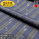 【ふるさと納税】【受注生産:納期4ヶ月〜6ヶ月】琉球絣(着尺) 綾の中(アヤヌナーカ)