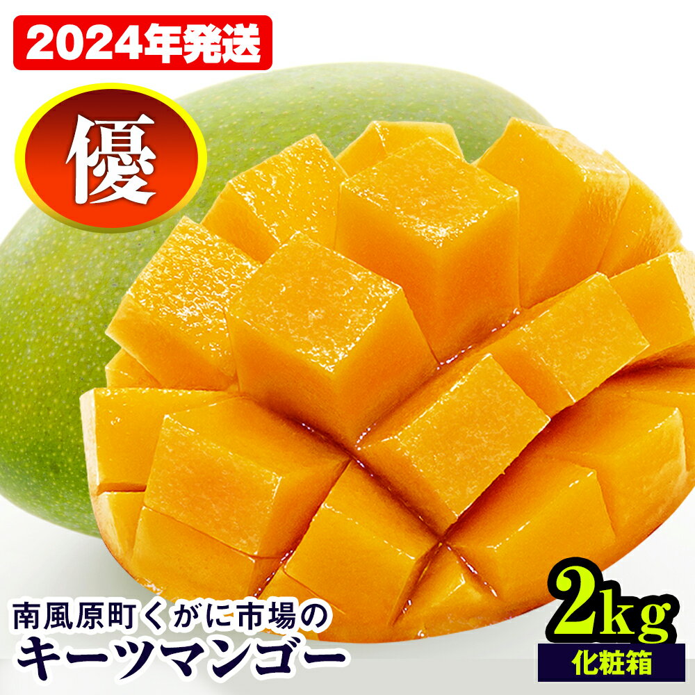 ڤդ뤵Ǽǡۡ2024ǯȯĮ˻ԾΥĥޥ󥴡ͥʡȢ2kg