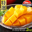【ふるさと納税】【2025年発送】なか果樹園 特選 アーウィンマンゴー2kg 限定20箱(4)