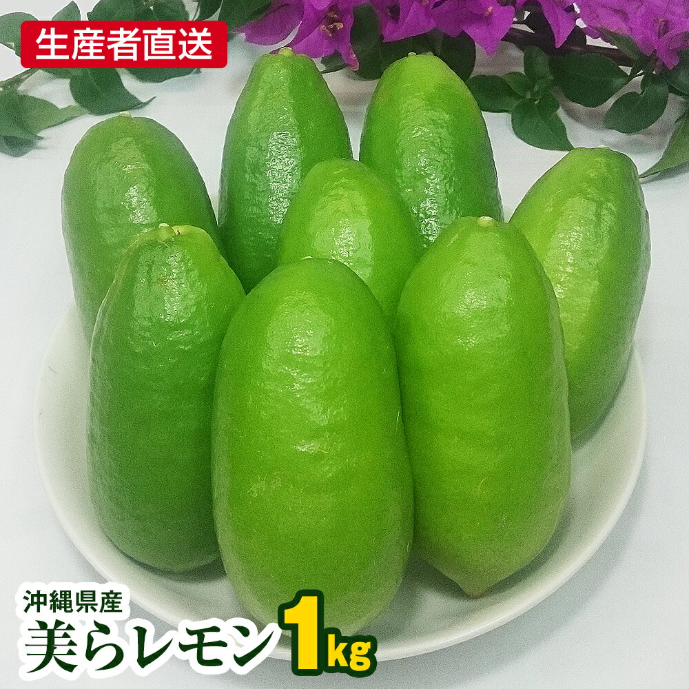 【ふるさと納税】生産者直送 沖縄県産美らレモン1kg 種なし