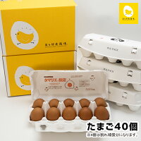 卵の黄身が掴めるほどの新鮮さ美ら卵養鶏場の卵【40個入り】