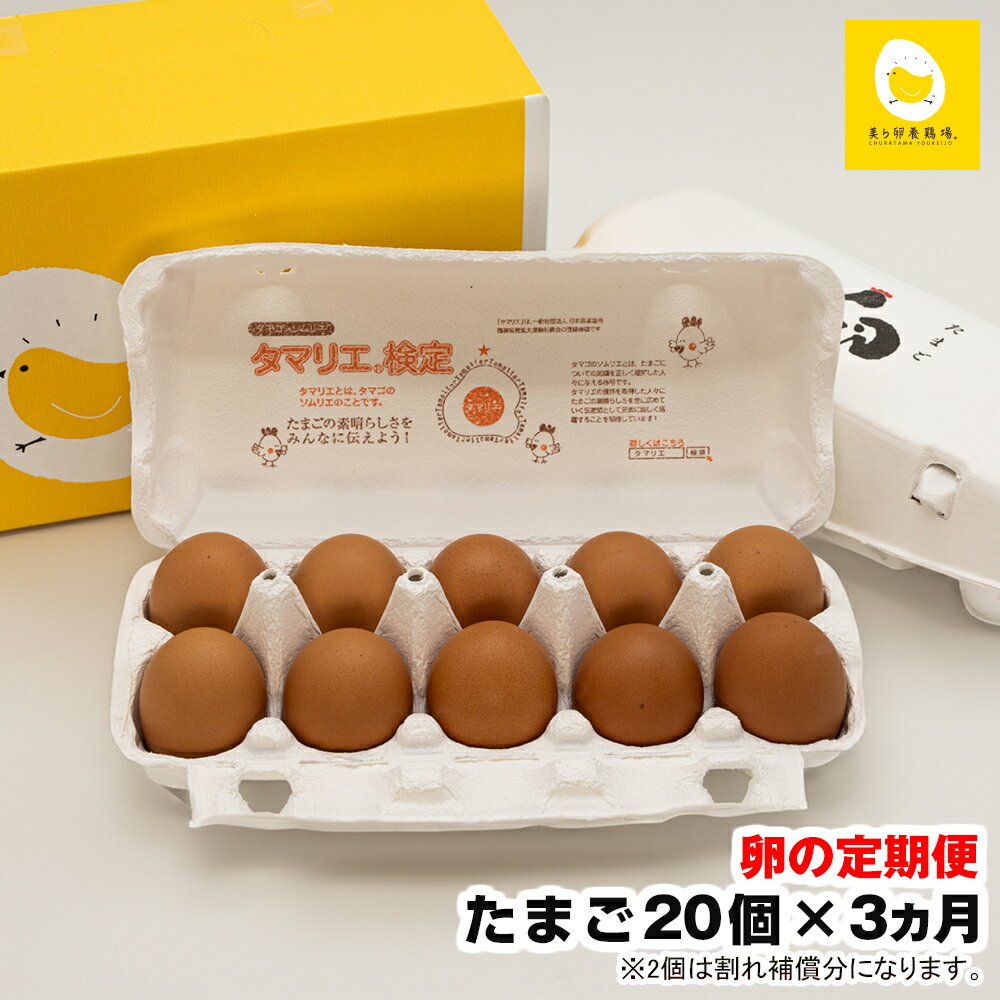 [定期便]3ヵ月連続お届け 美ら卵養鶏場の卵 各月20個