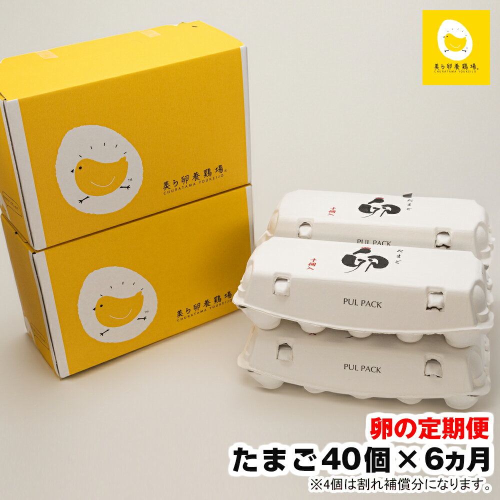 【ふるさと納税】【定期便】6ヵ月連続お届け 美ら卵養鶏場の卵 各月40個