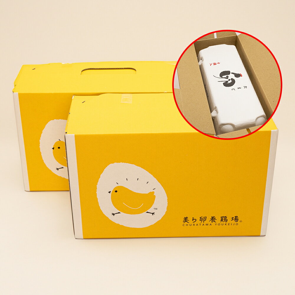 【ふるさと納税】【6ヵ月 定期便】 北海道 伊達市 とうや 卵 40個 入り たまご