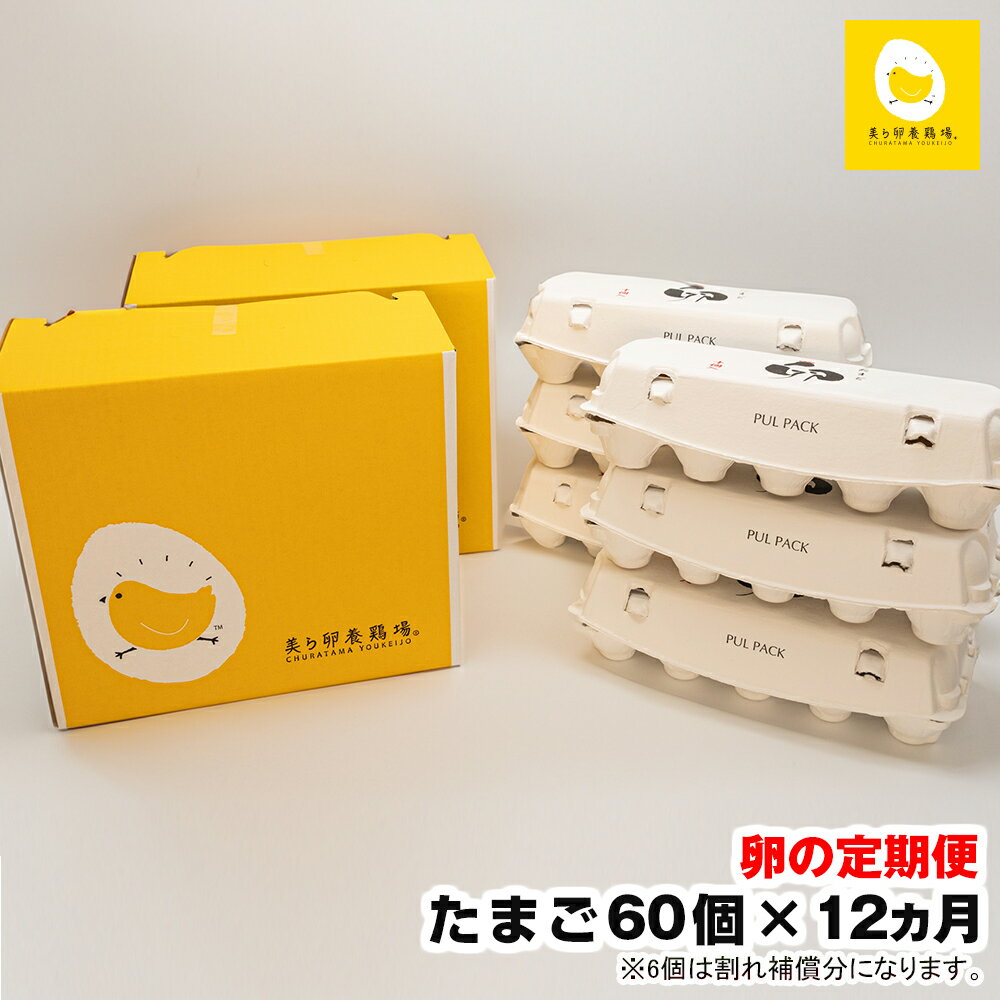 【ふるさと納税】【定期便】12ヵ月連続お届け 美ら卵養鶏場の卵 各月60個