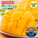 【ふるさと納税】【2026年発送】城間マンゴー園 家庭用 アーウィンマンゴー1.5kg 特別栽培農産物