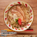 【ふるさと納税】自家製生麺 タイラの三枚肉沖縄そばセット 8食入り