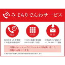 【ふるさと納税】郵便局のみまもりサービス「みまもりでんわサービス(固定電話)」(12か月)