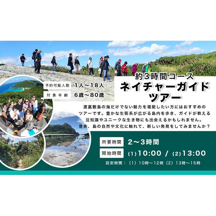 自然体験 ネイチャーガイドツアー(ハイキング)渡嘉敷島・約3時間コース