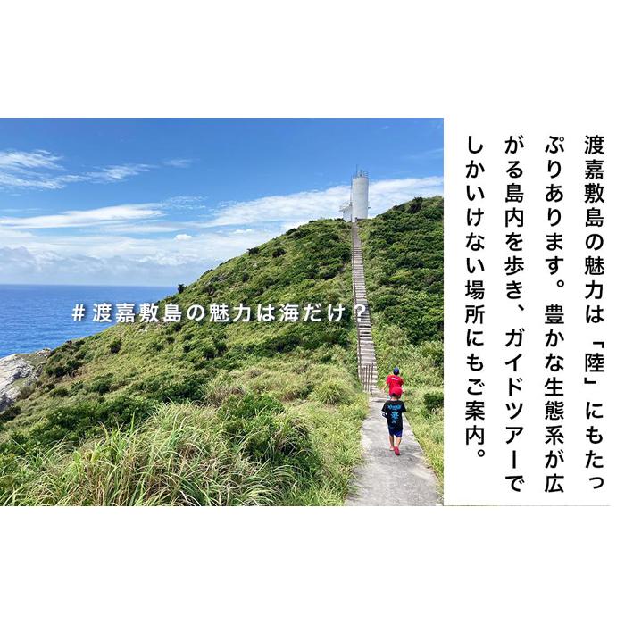 【ふるさと納税】自然体験 ネイチャーガイドツアー（ハイキング）渡嘉敷島・約3時間コース