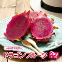 【ふるさと納税】【2025年7月〜10月頃発送】伊平屋産のドラゴンフルーツ2kg【1497066】