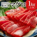 【ふるさと納税】伊平屋島近海のマグロ1kg(マイナス60℃急速冷凍)【配送不可地域:離島】【1497092】(4)