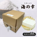 【ふるさと納税】使い方色々の天然にがり大サイズ「海の幸」10リットル【1517036】