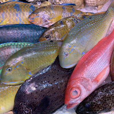 沖縄県伊平屋村の画像3