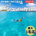 【ふるさと納税】【貸し切りプラン】手ぶらでシュノーケル(1名様/3時間コース)【1523910】