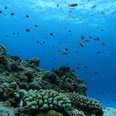沖縄県伊平屋村の画像3
