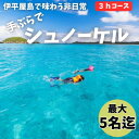 【ふるさと納税】【貸し切りプラン】手ぶらでシュノーケル(3〜5名様/3時間コース)【1523912】