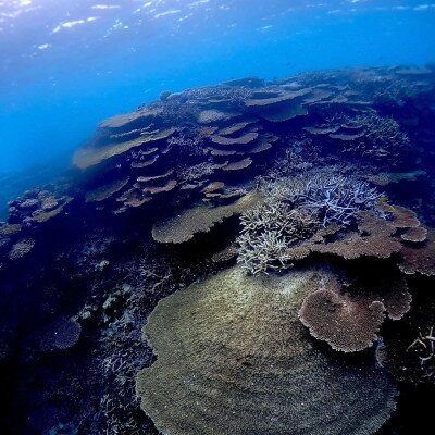 沖縄県伊平屋村の画像2
