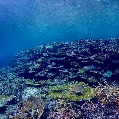 沖縄県伊平屋村の画像3