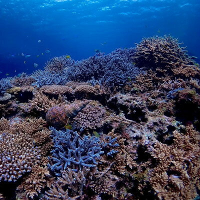 沖縄県伊平屋村の画像3