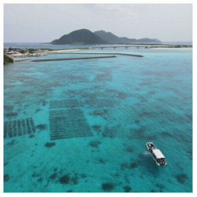 沖縄県伊平屋村の画像3