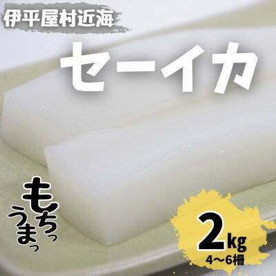 【ふるさと納税】もちっと食感 セーイカ 2kg(4~6柵)【配送不可地域:離島】【1544699】