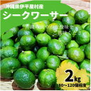 【ふるさと納税】青シークワーサー 伊平屋村産 2kg【1551907】
