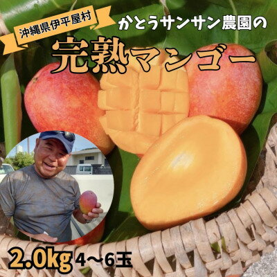 【ふるさと納税】【2025年7月頃発送】離島の恵み 完熟マンゴー2.0kg【配送不可地域:離島】【1573531】